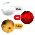 16W Led Auxiliary bulb Canbus I3 - Image 5